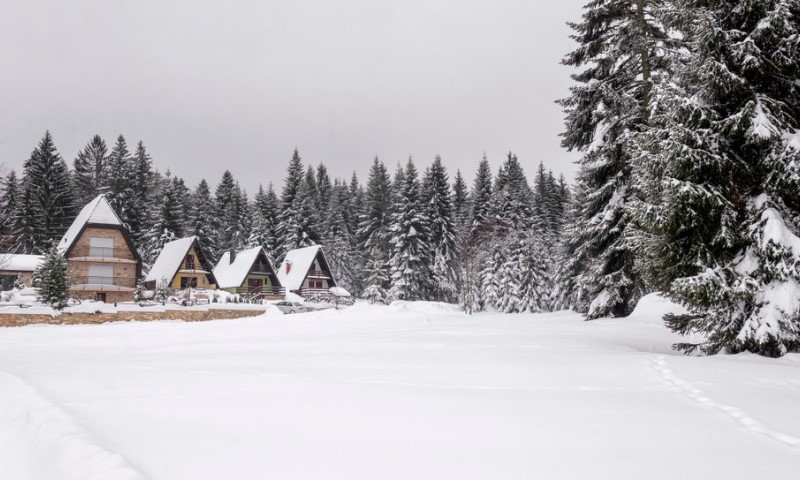 Zimski pejzaž jelovih šuma sa lokalnim kućama